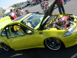 Click to see 102-0265_IMG.JPG